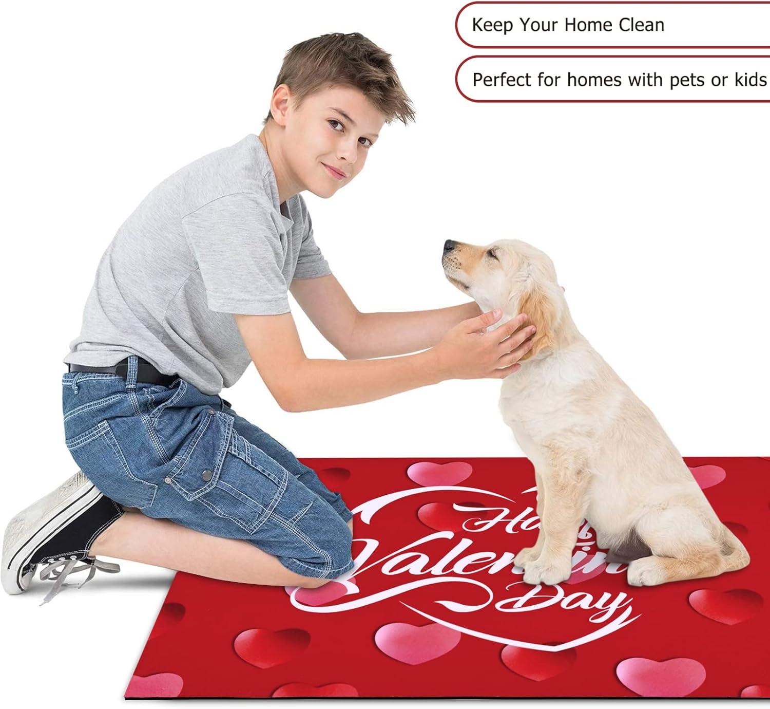imageASPMIZ Valentines Day Door Mat Outdoor Romantic Red Heart Doormat Non Slip Decorative Love Area Rug Entrance Mat Indoor Outdoor Floor Mat for Entryway Patio Valentines Home Decors 17 x 30 Inches