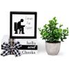 imageASPMIZ Bathroom Shelf Decor Signs Decorative Books for Home Decors Fake Plants Toilet Timer Wooden Farmhosue Bathroom Decor Funny Rustic Decorations for Restroom Shelf Hello Sweet CheeksHello Sweet Cheeks