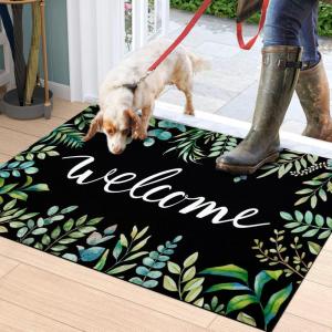 imageASPMIZ Welcome Door Mats for Front Door Leaves Low Profile Rug Washable Indoor Outdoor Non Slip Doormat with Rubber Backing Absorbent Entrance Mats for Outside Patio 18quot x 30quot Spring ampamp Summer